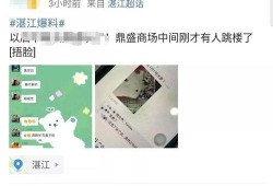 广东湛江今日爆料,揭秘湛江最新热点事件