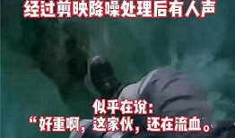 老九爆料茶叶事件视频大全,揭秘茶叶市场的惊人内幕